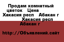 Продам комнатный цветок › Цена ­ 1 200 - Хакасия респ., Абакан г.  »    . Хакасия респ.,Абакан г.